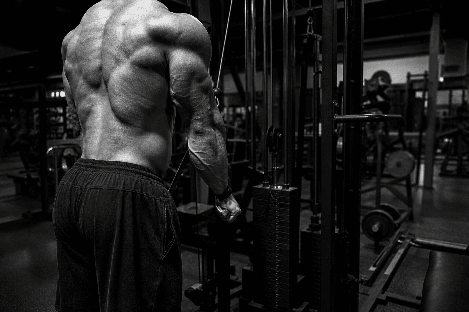 30-Day Workout Plan: 4-Week Gym Split (Intermediate)